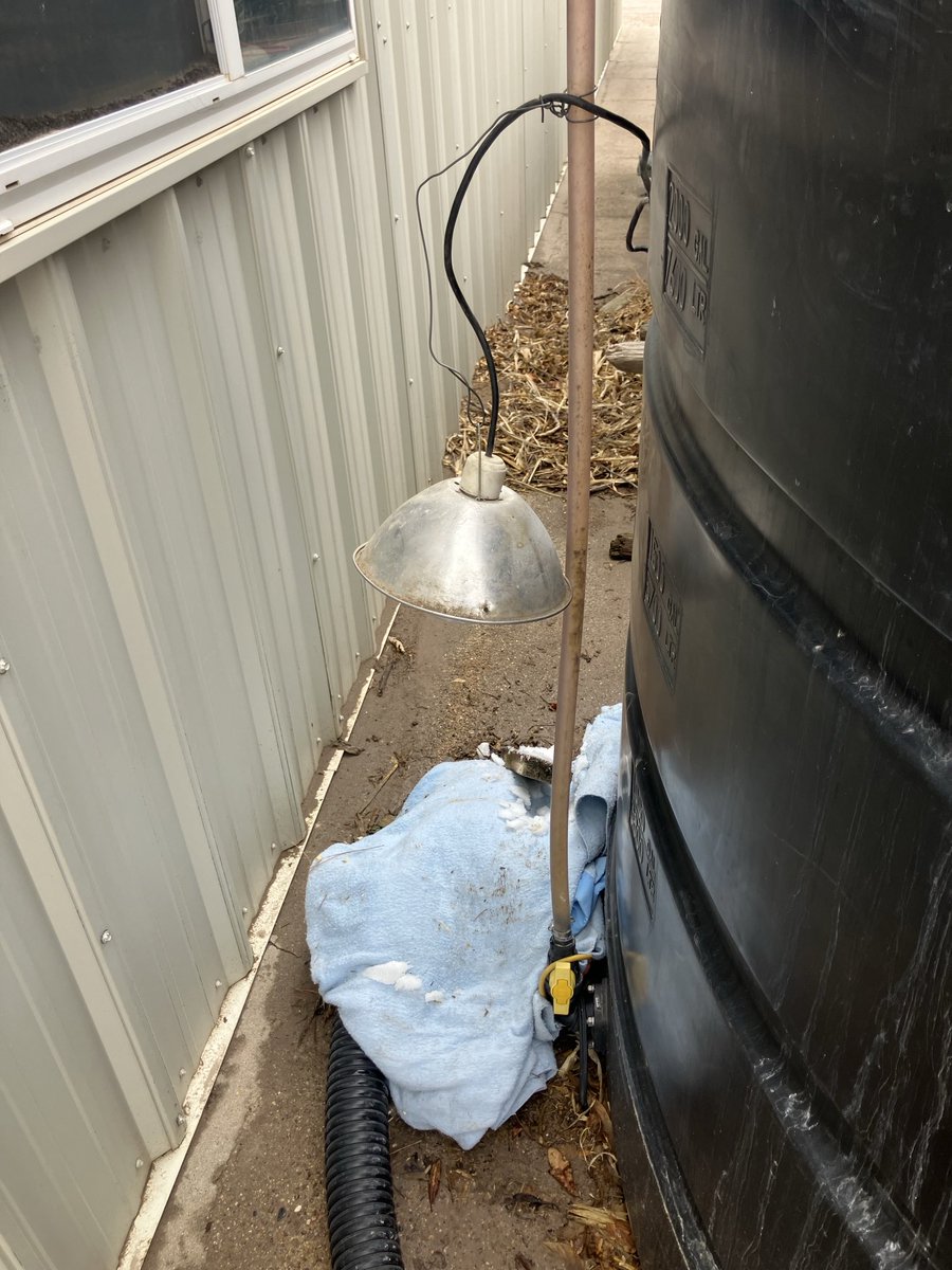 ChrisCullan1's tweet image. Glad I put heat lamp on a timer last night for the water supply valve