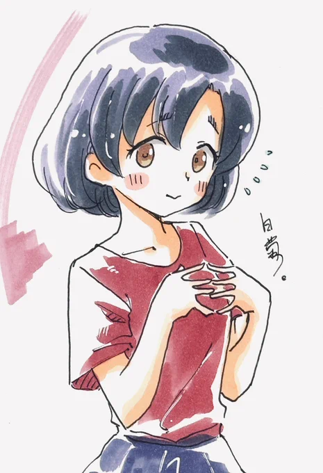 白菊。 