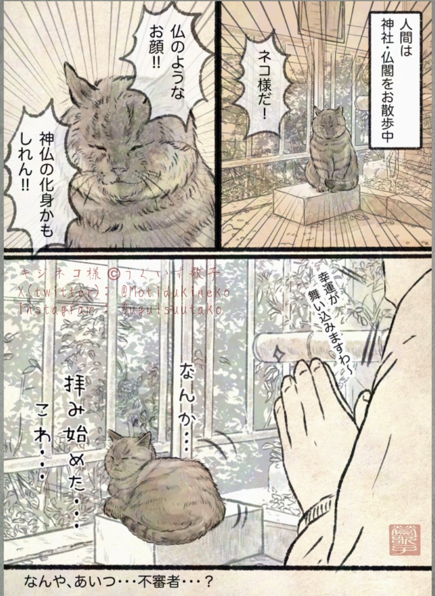 ネコ日記01。 
