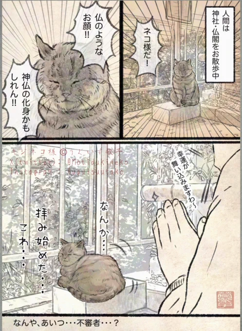 ネコ日記01。 