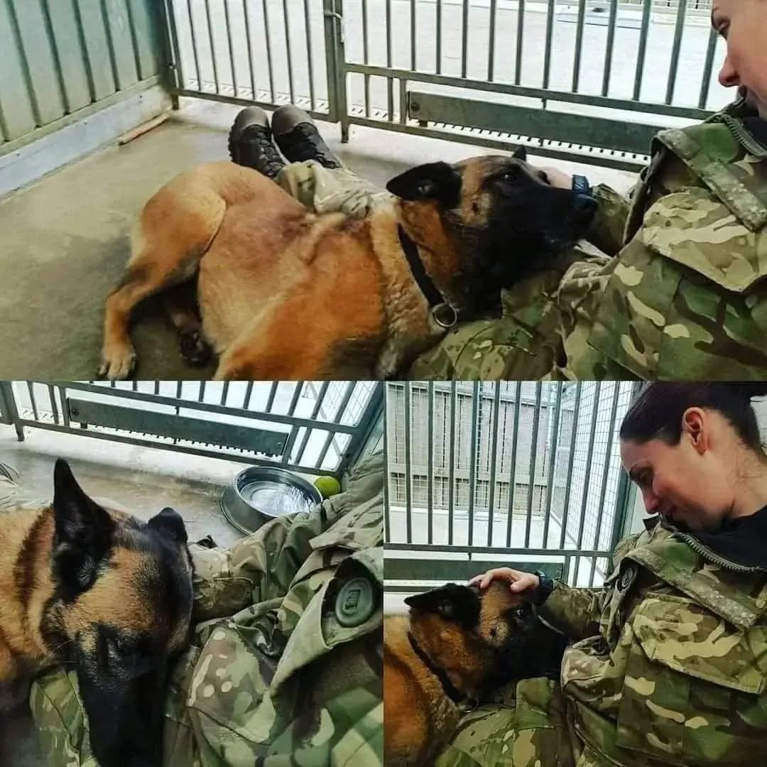 4 years ago, this girl came to live up in sunny Scotland. Half of me didn't think we would have gotten the time we did together. The other part of me never thought our time wouldn't have been so brief. 

Alka had crossed my path on a few occasions in the military, and she left a