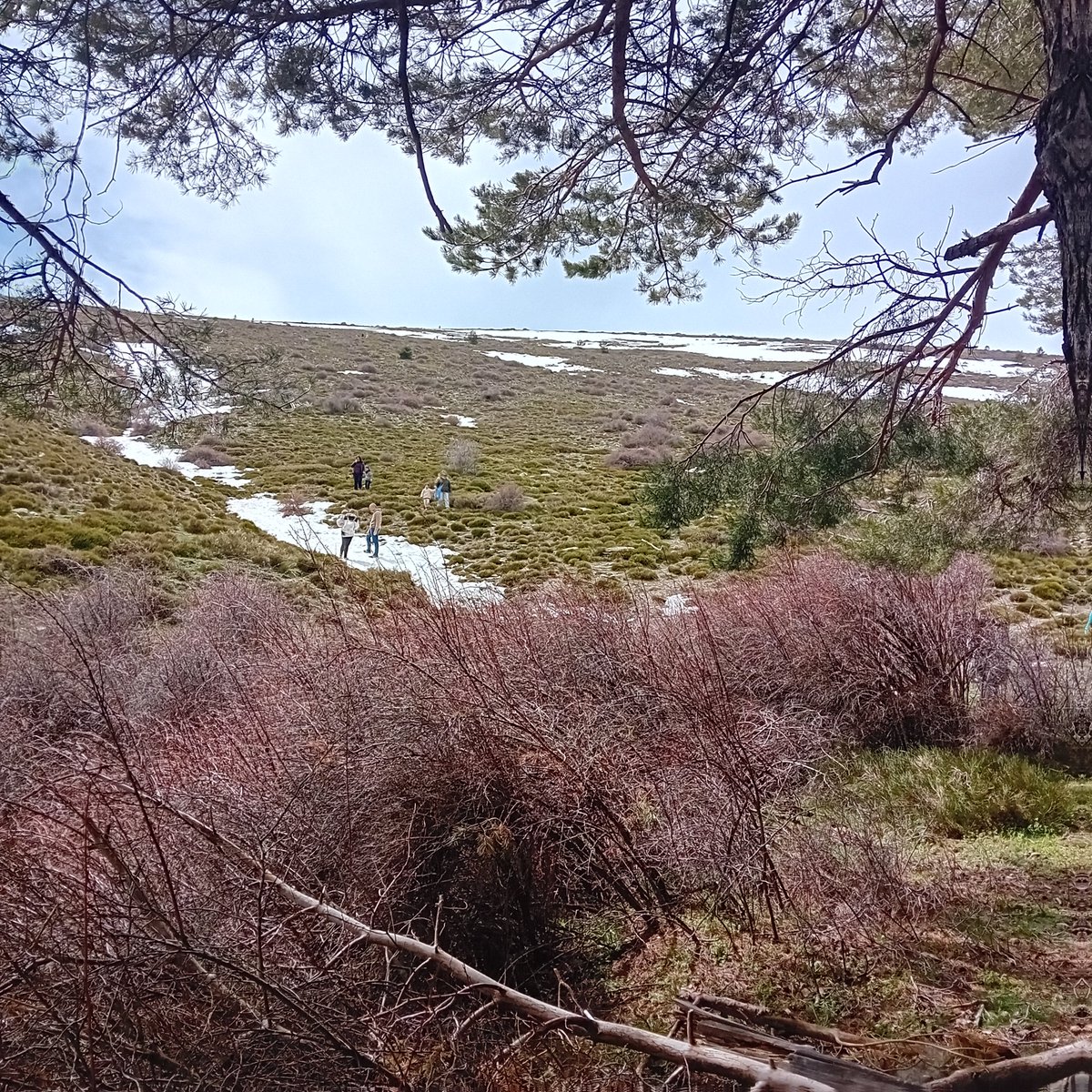 Estos son mis influencers ❤️🙌#Alpujarra #shinrinyoku #bañosdebosque