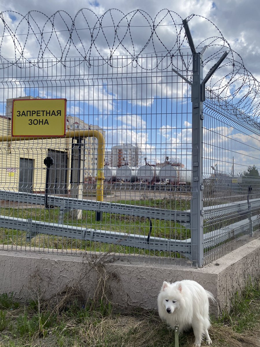 уровень протеста в Восточной Европе наглядно