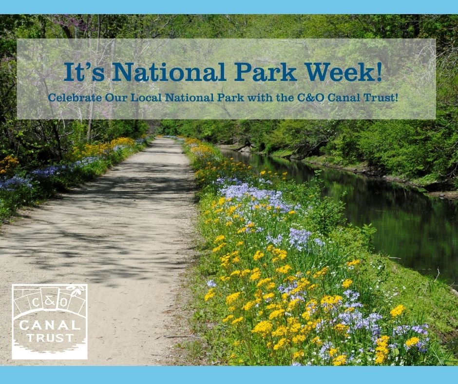 Happy National Park Week! Become a monthly donor with a gift of $25 per month or more, or make a one-time donation of $300 - and receive a special Trust-branded tote bag. canaltrust.org/donations/love…