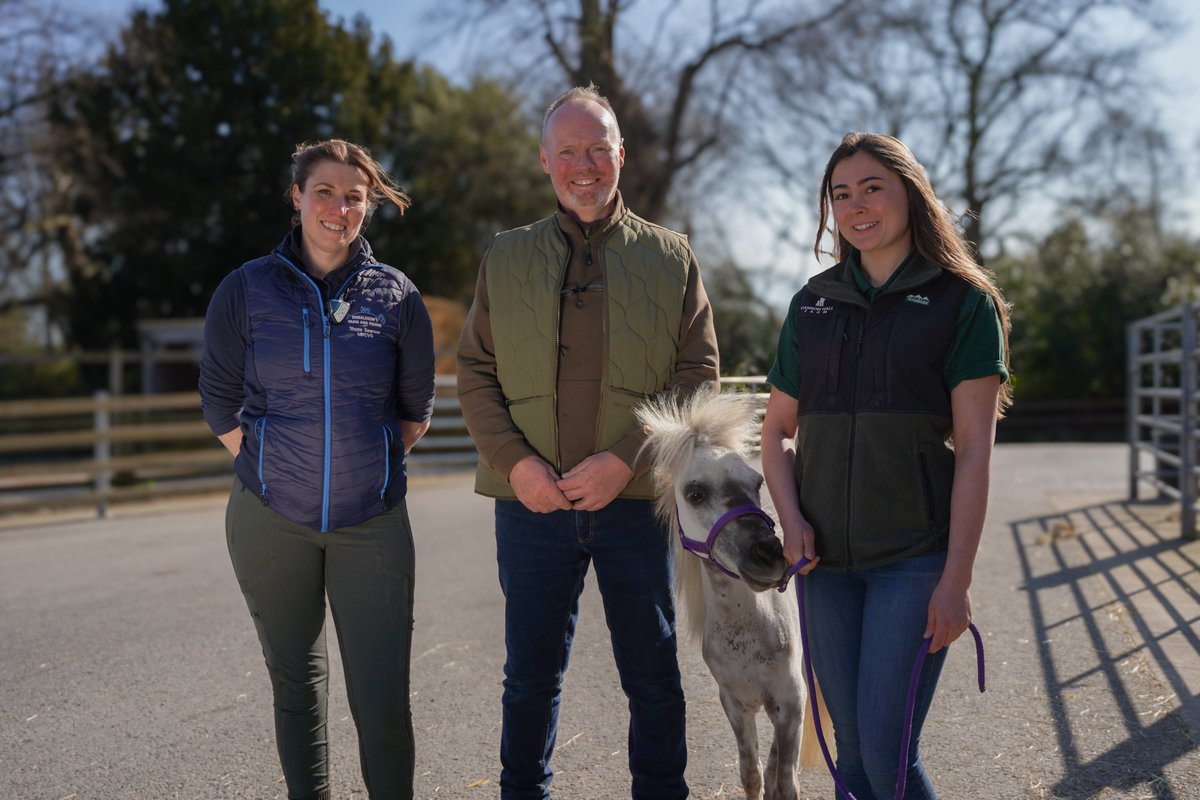 basnettdavid1's tweet photo. Tv 📺 #NowWatching Thursday's 🗓 @channel5_tv #SpringtimeOnTheFarm 🐄 🚜 🐓 🐎 🐑 https://t.co/uVE1JljQq6