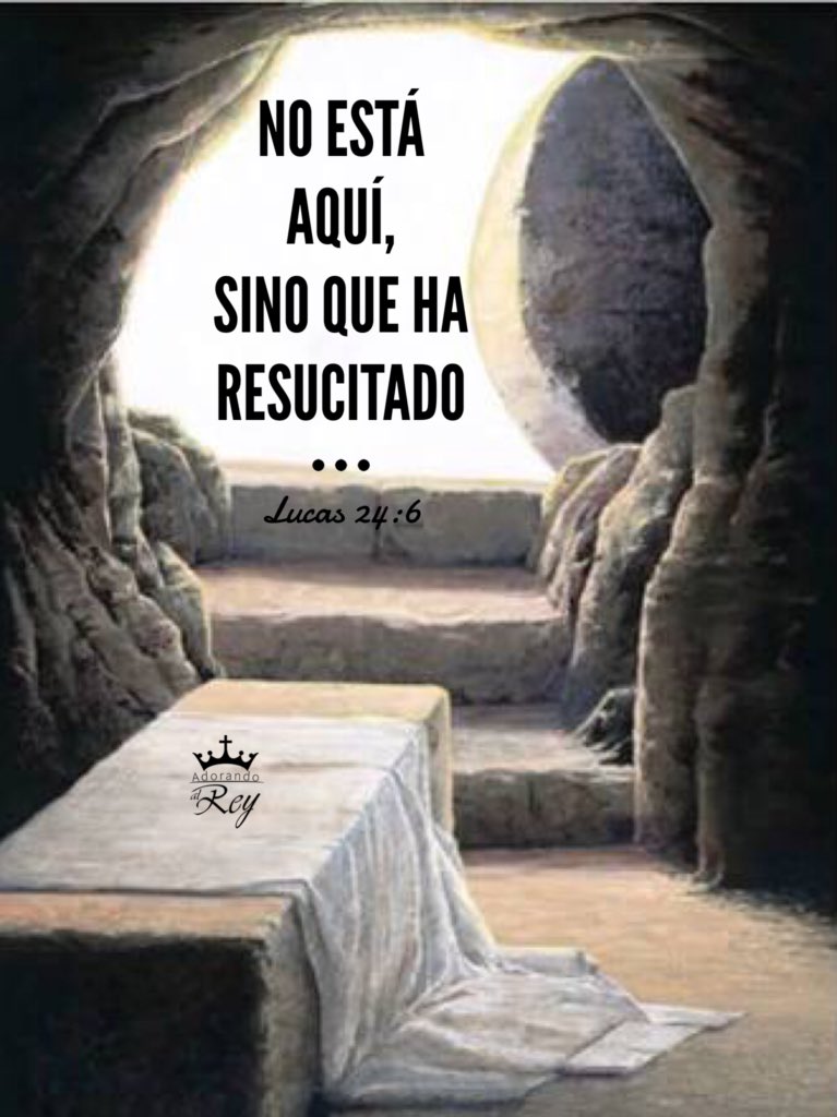 Jasonmission's tweet image. 