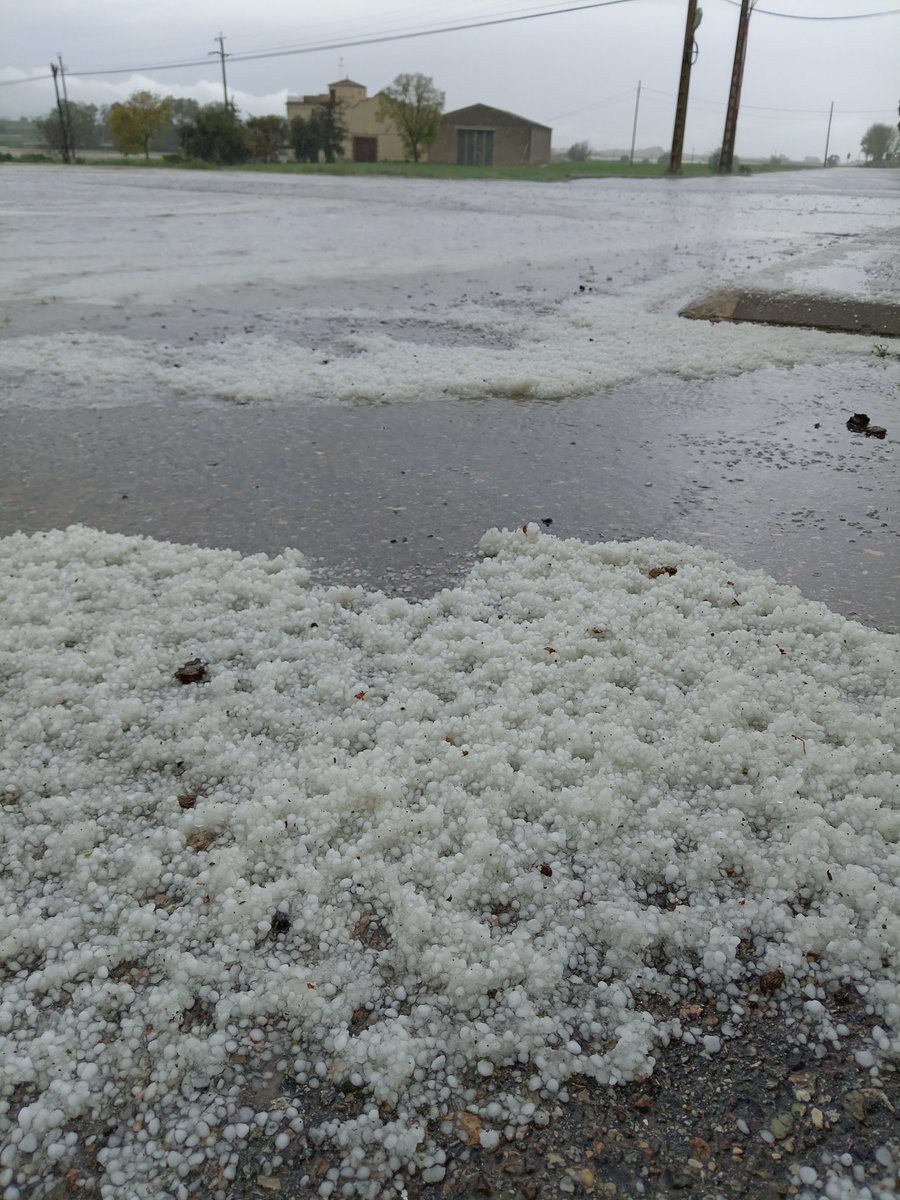 Lluís Agea Correa tweet media