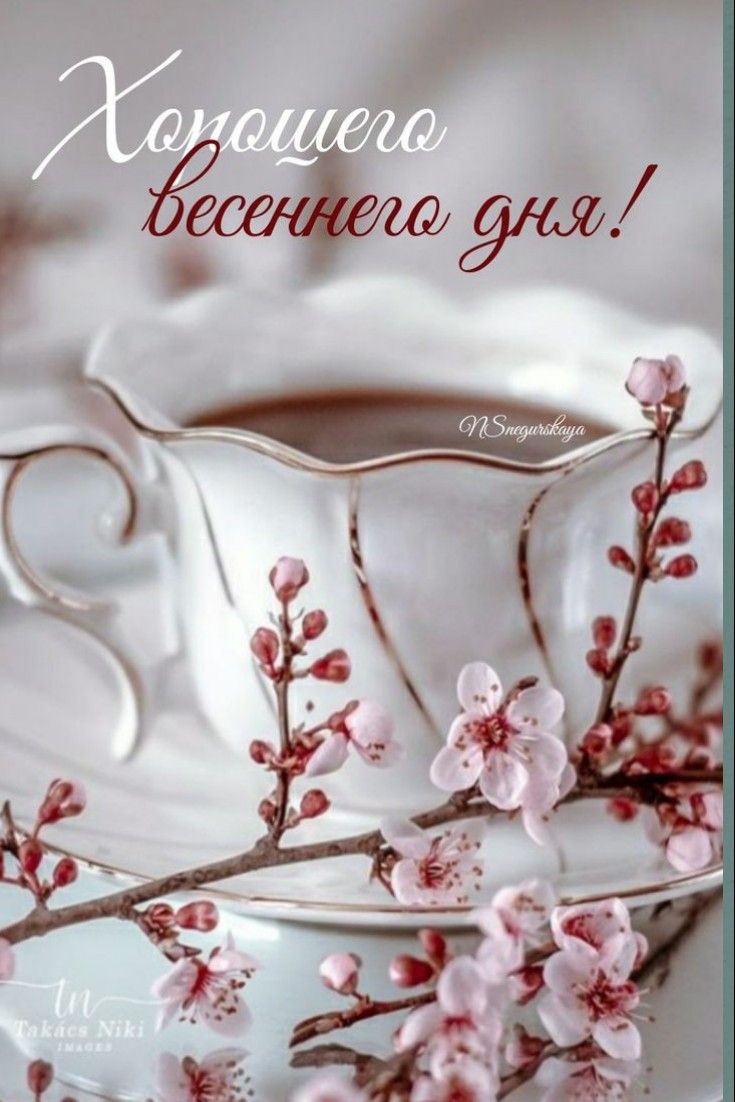 liudmila tweet media