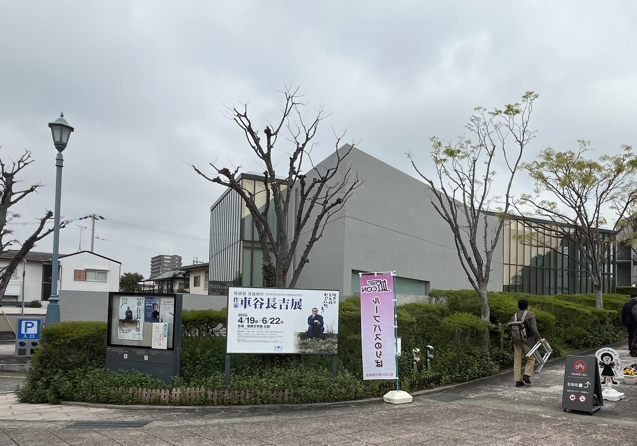 小泉 今日子 | 学園天国 | ビクターエンタテインメント