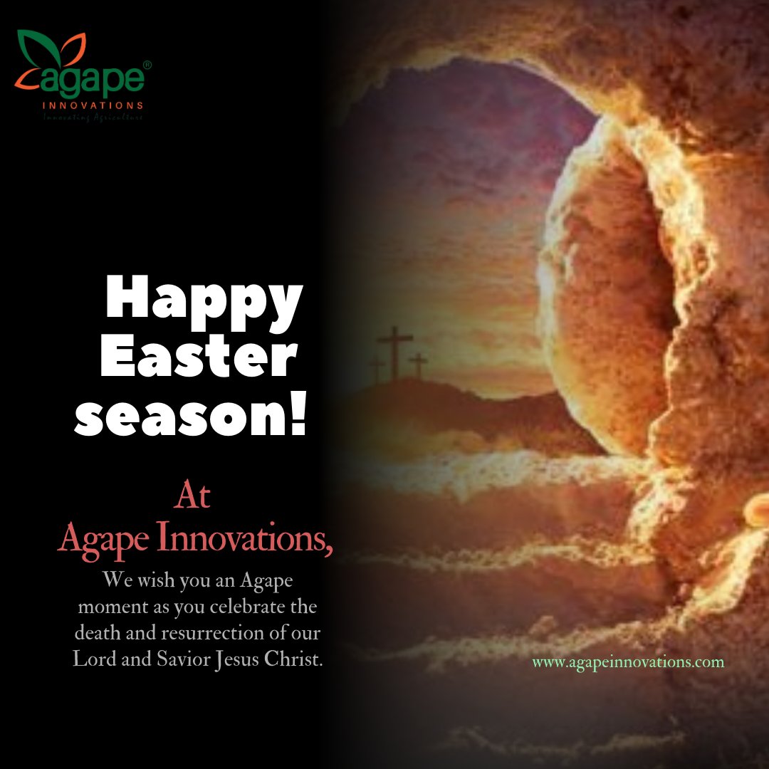 Have a great one.