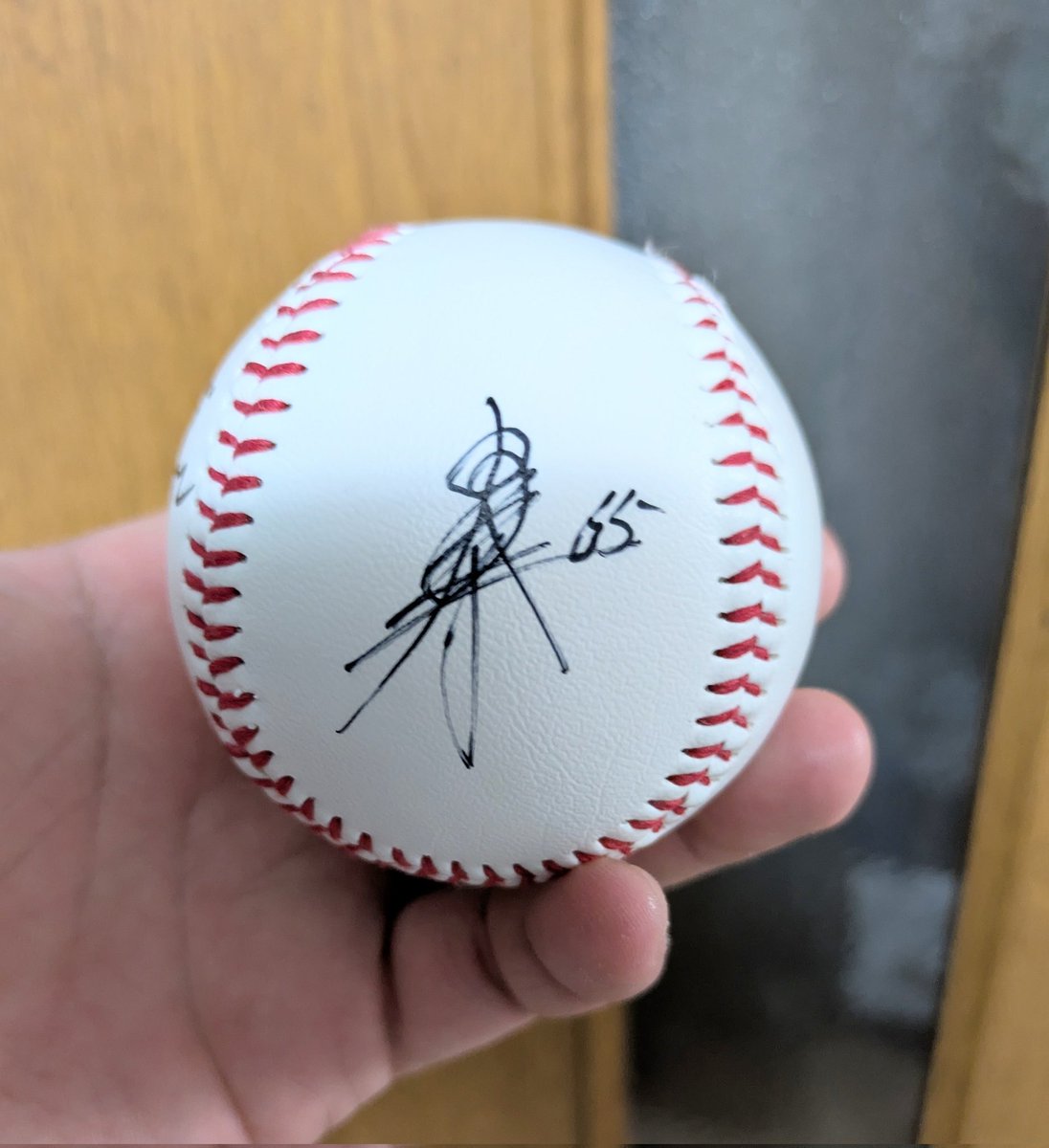 本日野球観戦の一番の収穫は・・・子供達が湯浅選手にサインしてもらえたこと😊3人ともサインしてもらえて、しかも選手に自分でボールを渡してサインしてもらえたことに感動した子供達は湯浅選手の大ファンになったそうです😆