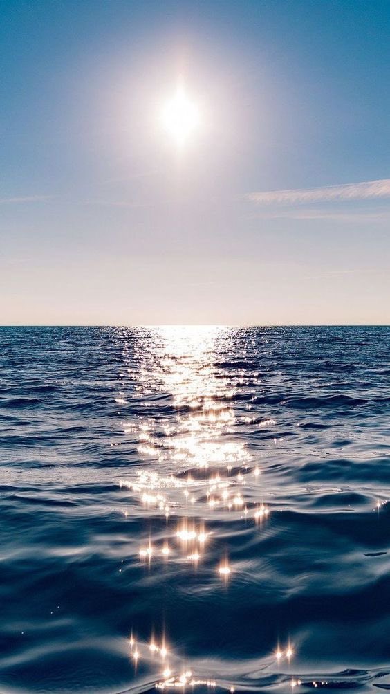 Aesthetics (@aestheticspost_) on Twitter photo 
