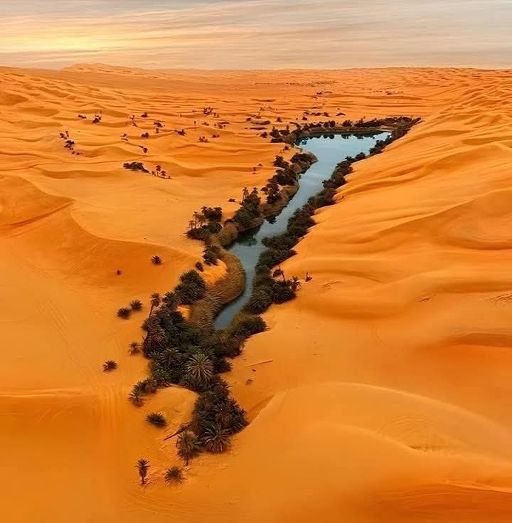 Oasis, Libya 🇱🇾 
#SaturdayMorning
