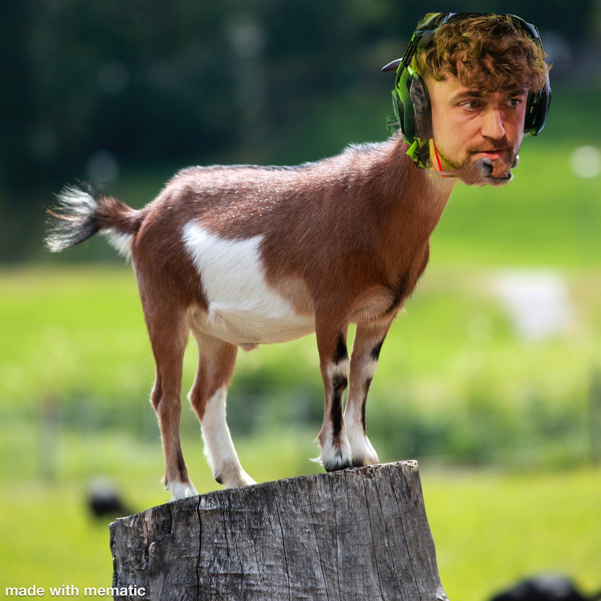 batch (@batchford_) on Twitter photo 