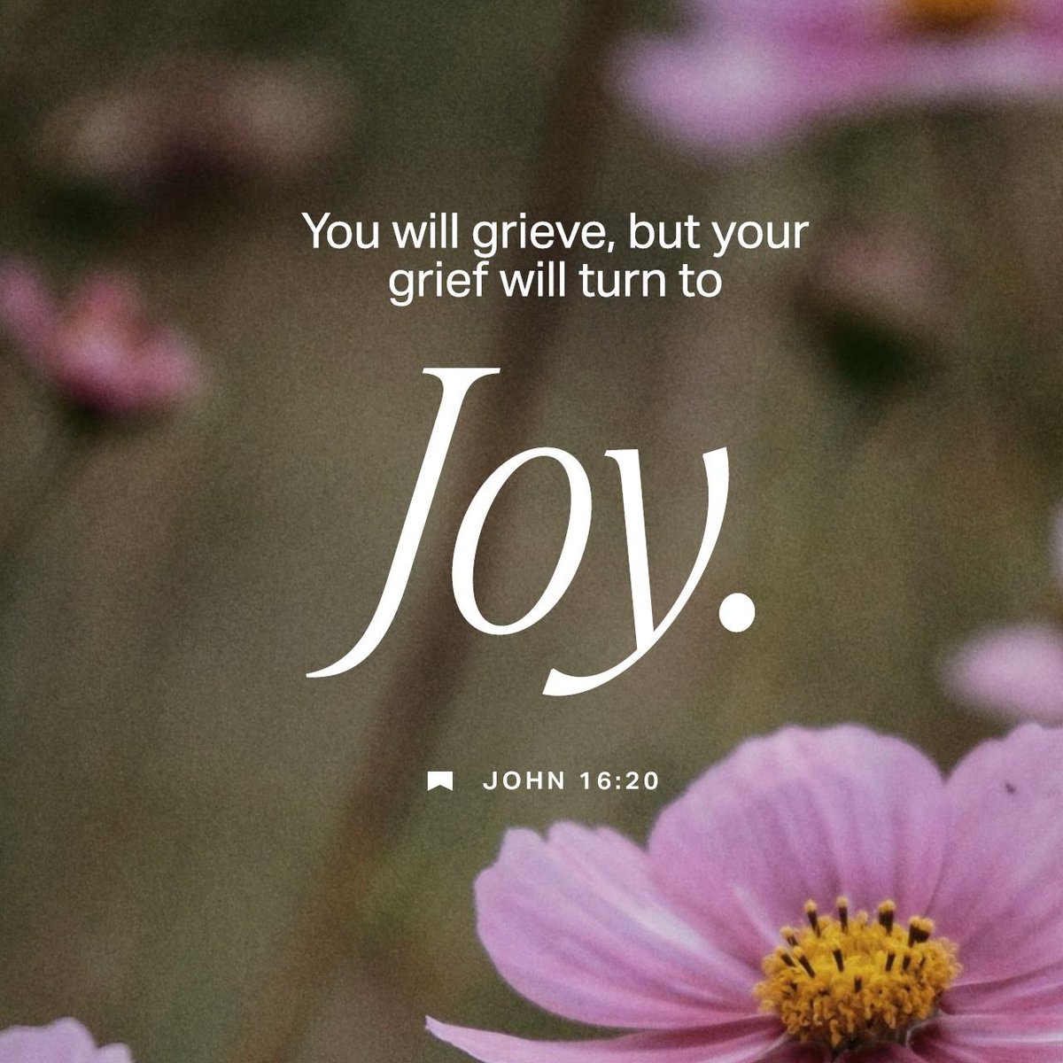 Heather Hall KC tweet media