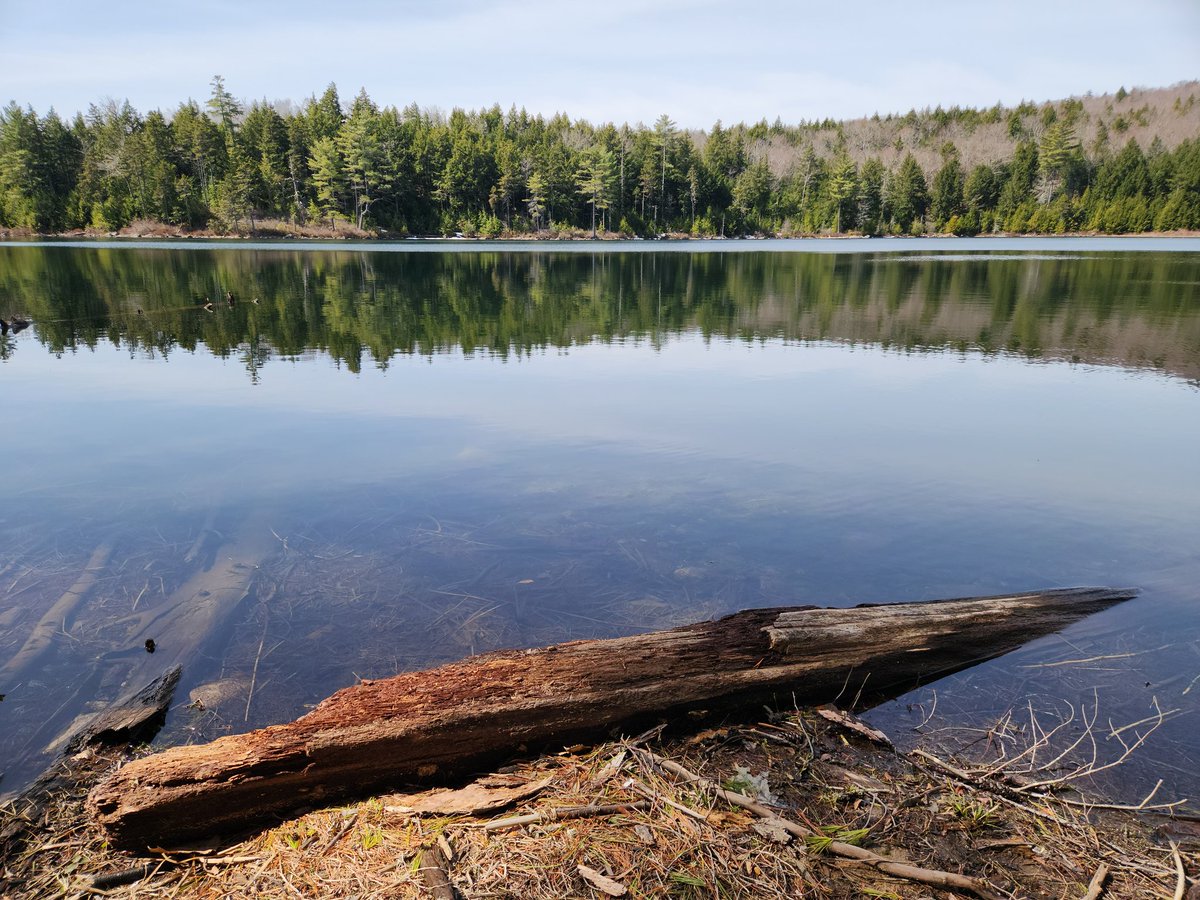 ByToddBBates's tweet image. Yesterday at Goose Pond in central New Hampshire #environment #nature #NaturePhotography #photo #photos #photography #photographer #photographers  #NH #NHwx #NewHampshire #water #pond