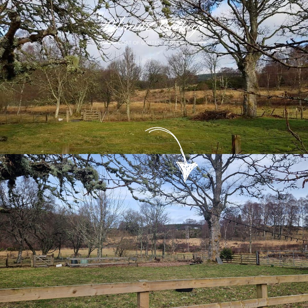 Here are some lovely before-and-after shots taken around the cottage — 6 years apart!  It’s amazing to see how far we’ve come and how the place has grown and changed. What have you noticed that has changed during your visits?🏡

#PilmuirCottage #CairngormsTogether #VisitScotland