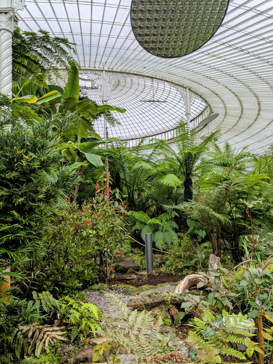 Justacarehomeg1's tweet photo. The @GlasgowBotanic are just wonderful, always feel great having a wee wander around the glasshouse. And today there was a book fair on too #perfectsaturday morning - plants, books &amp; charity shops ☺️ https://t.co/ye6JDk0QWk