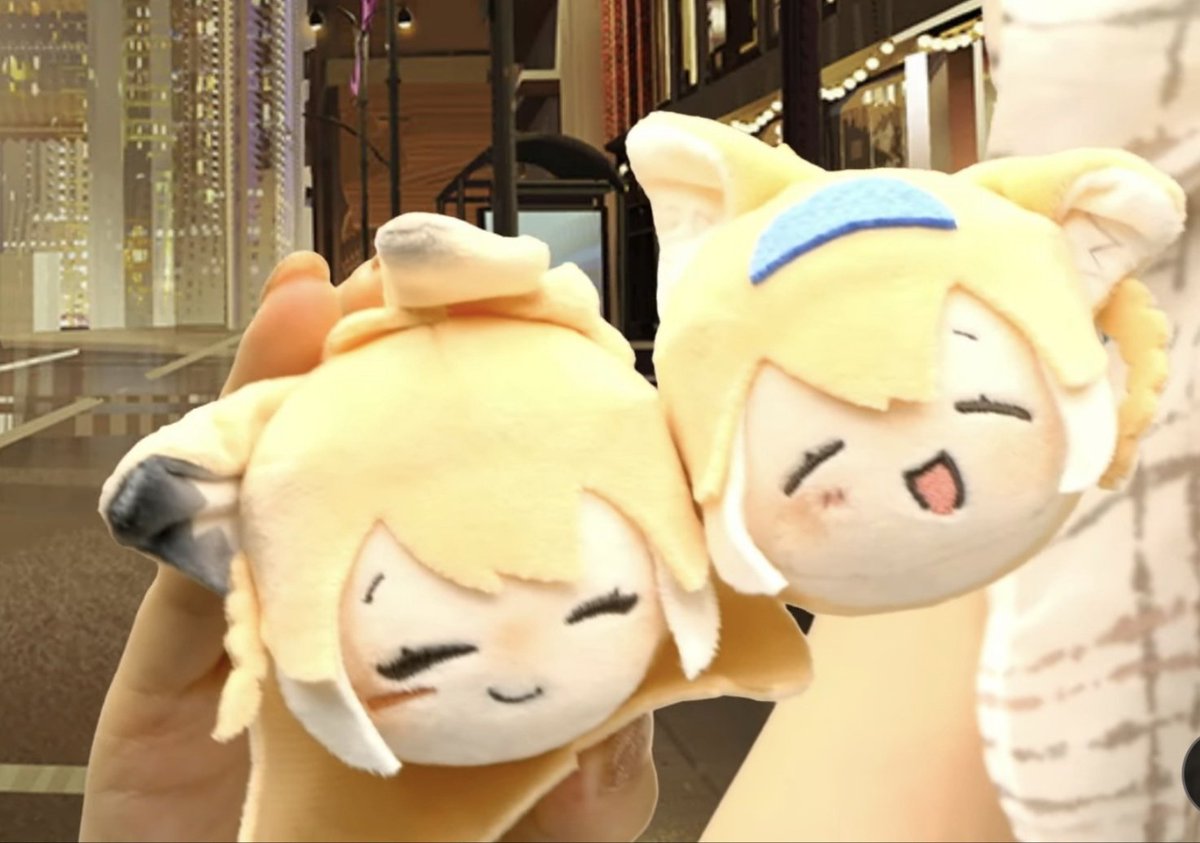 Oudonium's tweet photo. あかんかわいすぎる https://t.co/4FvstkUnuY