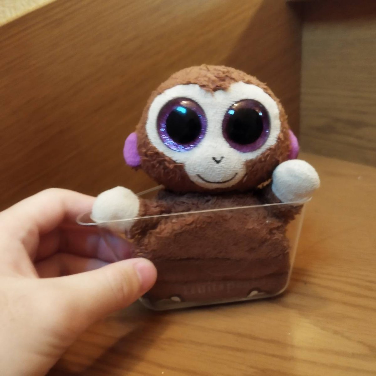 🐒の日常(ティア)with主さん！ tweet media