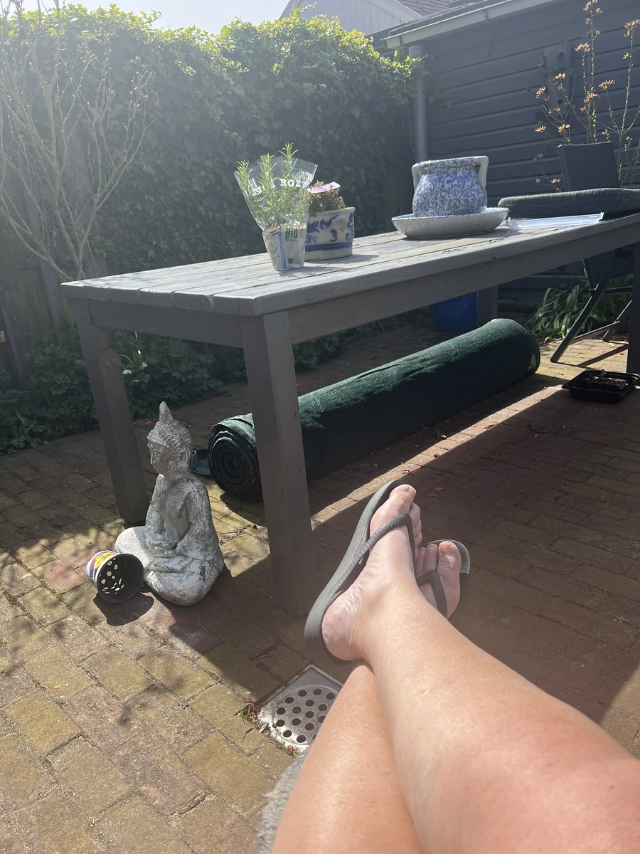 Hier wordt je toch blij van ☀️