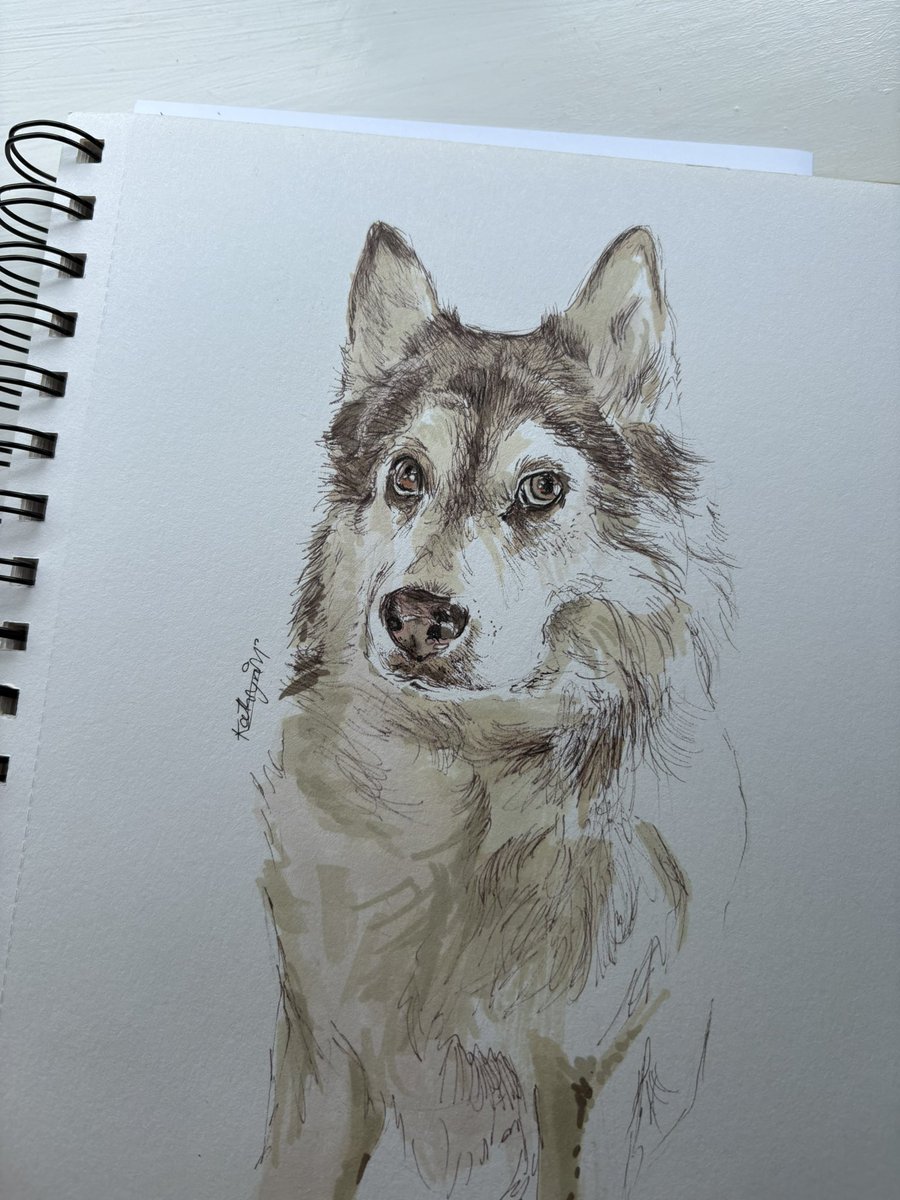 I had to draw the gorgeous Grim for his 10th birthday!! Does anyone else follow <a href="/sejsejlija/">Cecilia Blomdahl</a> from Svalbard? ❤️