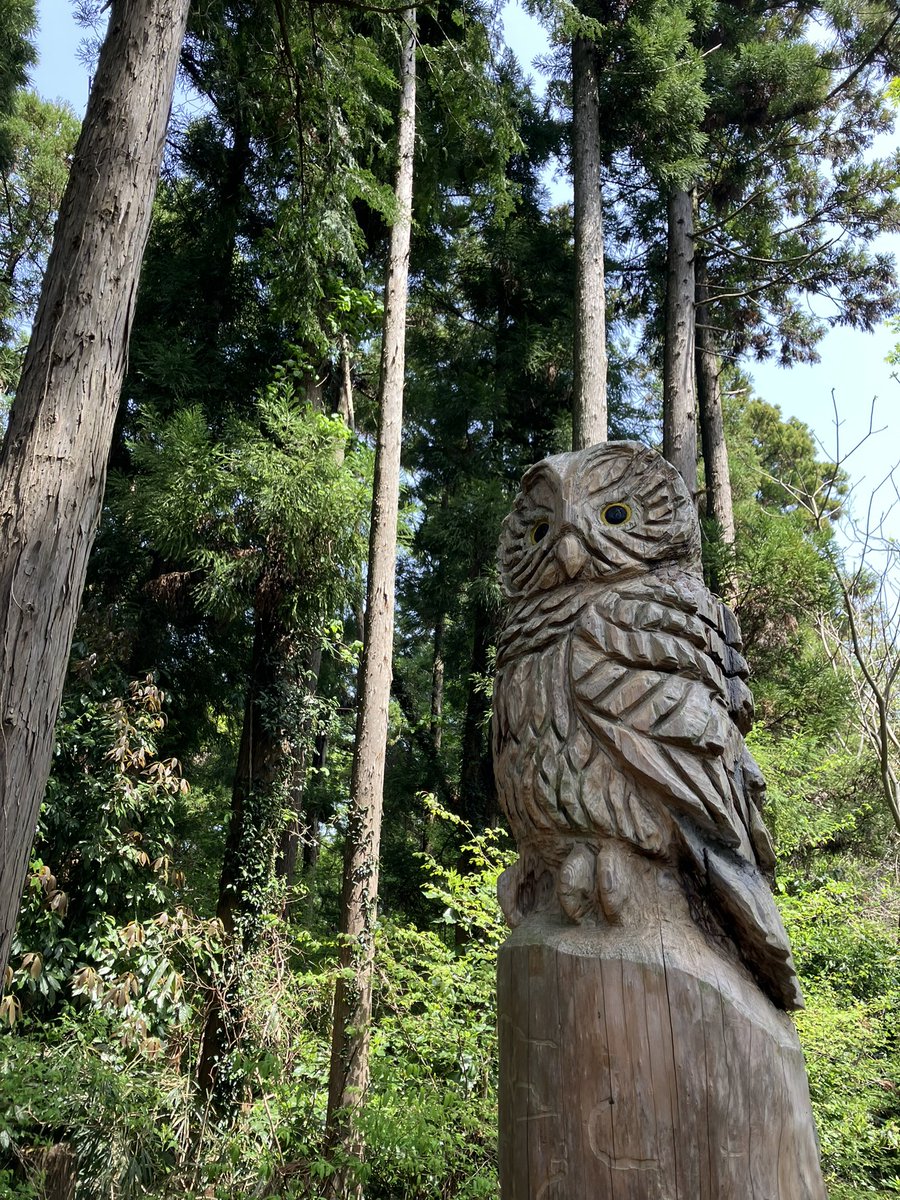 mi_mount's tweet photo. ⛰️南高尾セブンサミッツ
高尾山でこんなに充実した縦走出来るとは…！長距離でしたが、ベンチもたくさんあって楽しく歩けました👣⸒⸒高尾山に着いた時の安心感半端なかった…そういえば道中3匹くらい蛇に遭遇して、あぁ春だなぁって感じでした😌🌸暑くなってきたので次はもう少し高い山に行こうかな🥺 https://t.co/FRn19GxRoM