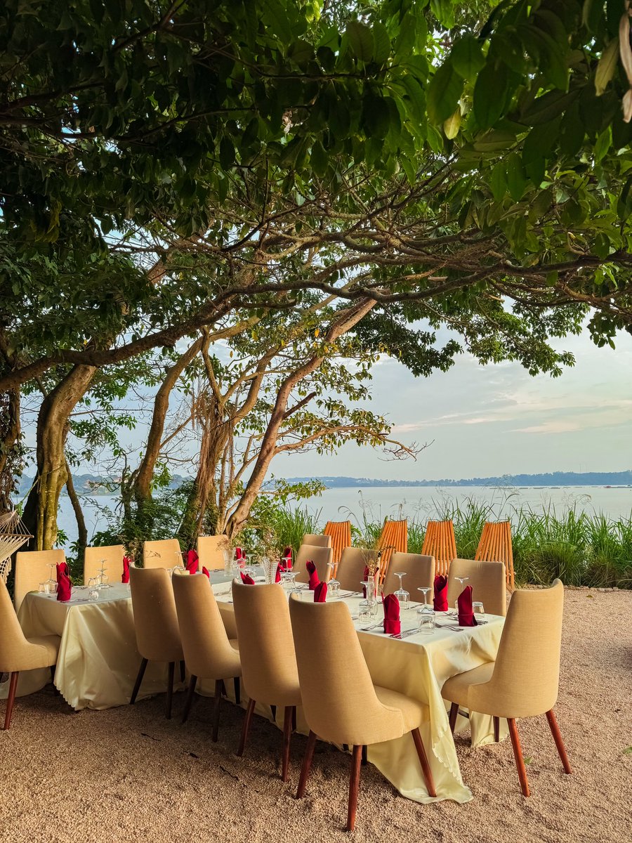 Entebbe Forest Lodge tweet media