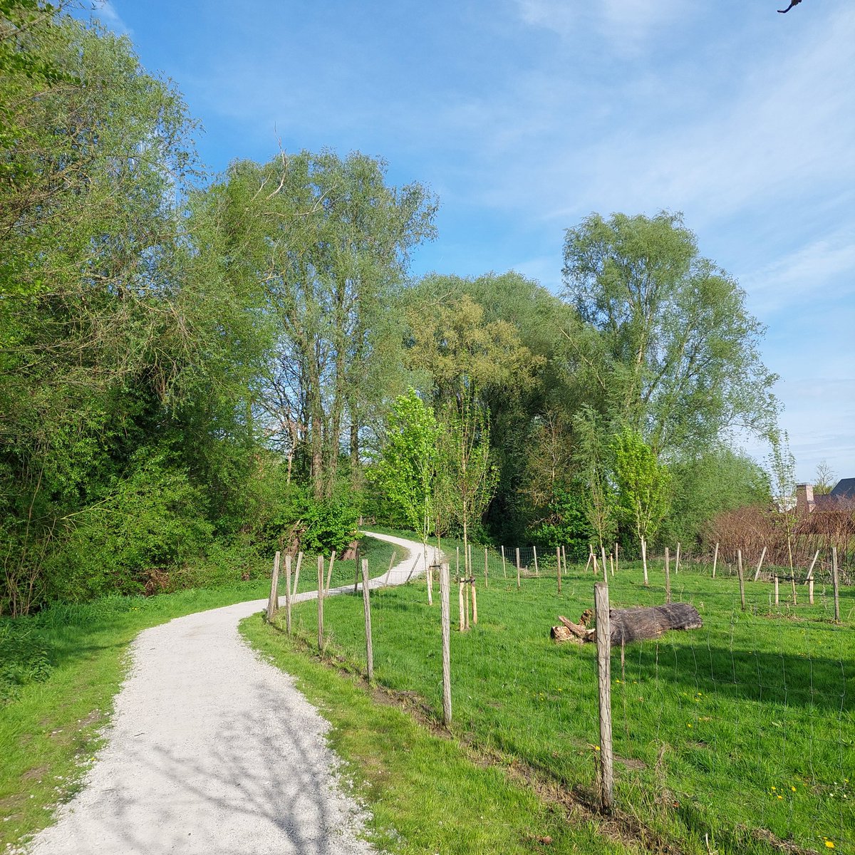 GeertRosseel's tweet photo. #vrtweer
Geert Rosseel
Ingelmunster 9:49 https://t.co/09GybPho1R