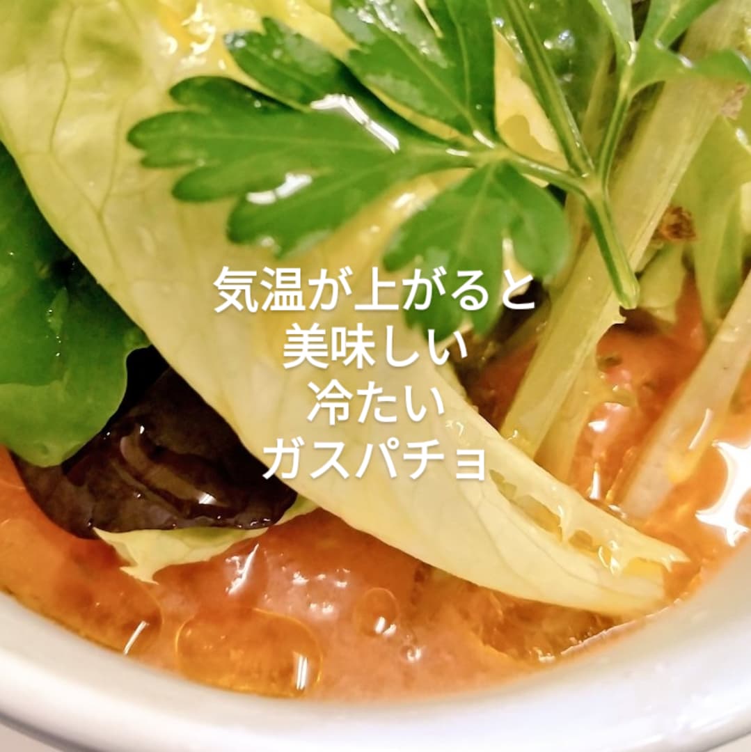 newtoyoken's tweet photo. 明日はバターとカボチャのクリーミーなパスタの最終日です。
カボチャのポタージュみたいなほんのり甘い優しい味わい。
ミルクに溶けるカボチャペーストは
バターと溶け合ってバスタに絡みます。
冷たいガスパチョもスタンバイ。
西港ヘルシーランチお待ちしております🧑‍🍳 https://t.co/UjnFd1jpva