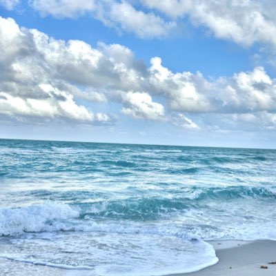 SunshineFl07's tweet photo. #NewProfilePic https://t.co/ER9DbbFgYQ