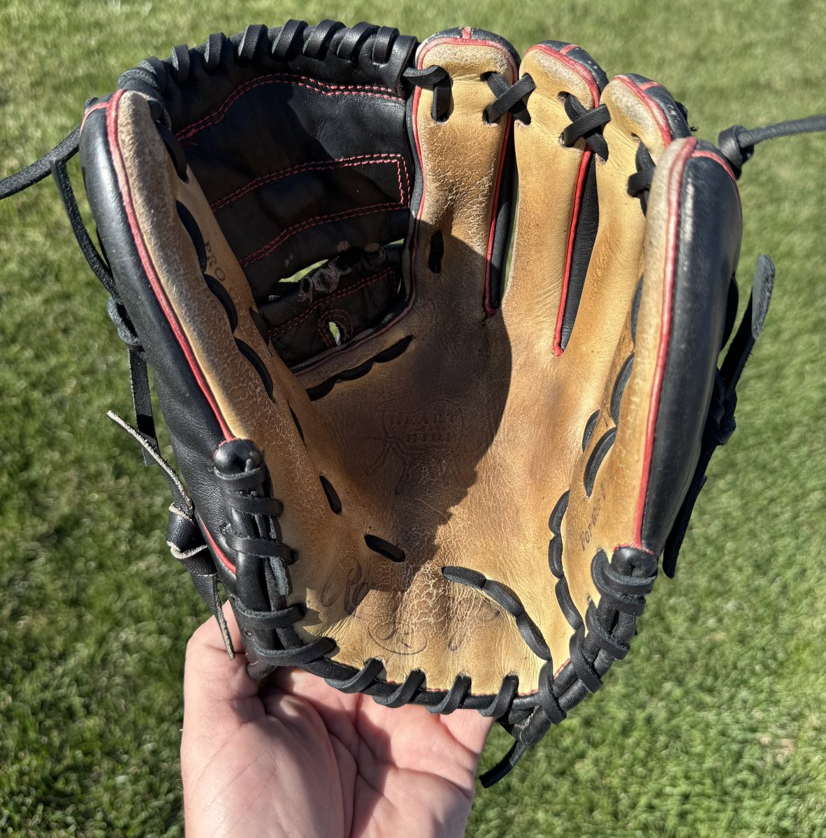 MWGloveWorks's tweet photo. Back in Black!! Love what the black lace from @buyfastpitchgloves did for this @rawlingssg HOH! Cleaned and conditioned using @ballplayersbalm. #gLOVE #relacedontreplace https://t.co/WtbTZm4NS7
