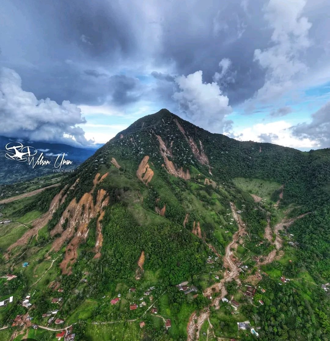 Lina María Velásquez tweet media