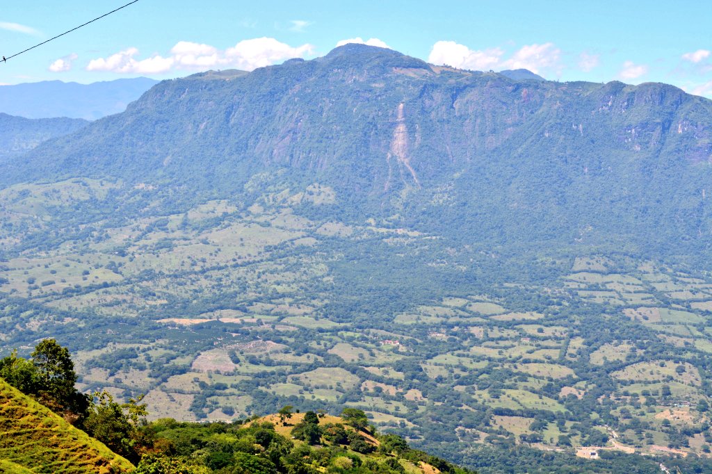 Lina María Velásquez tweet media