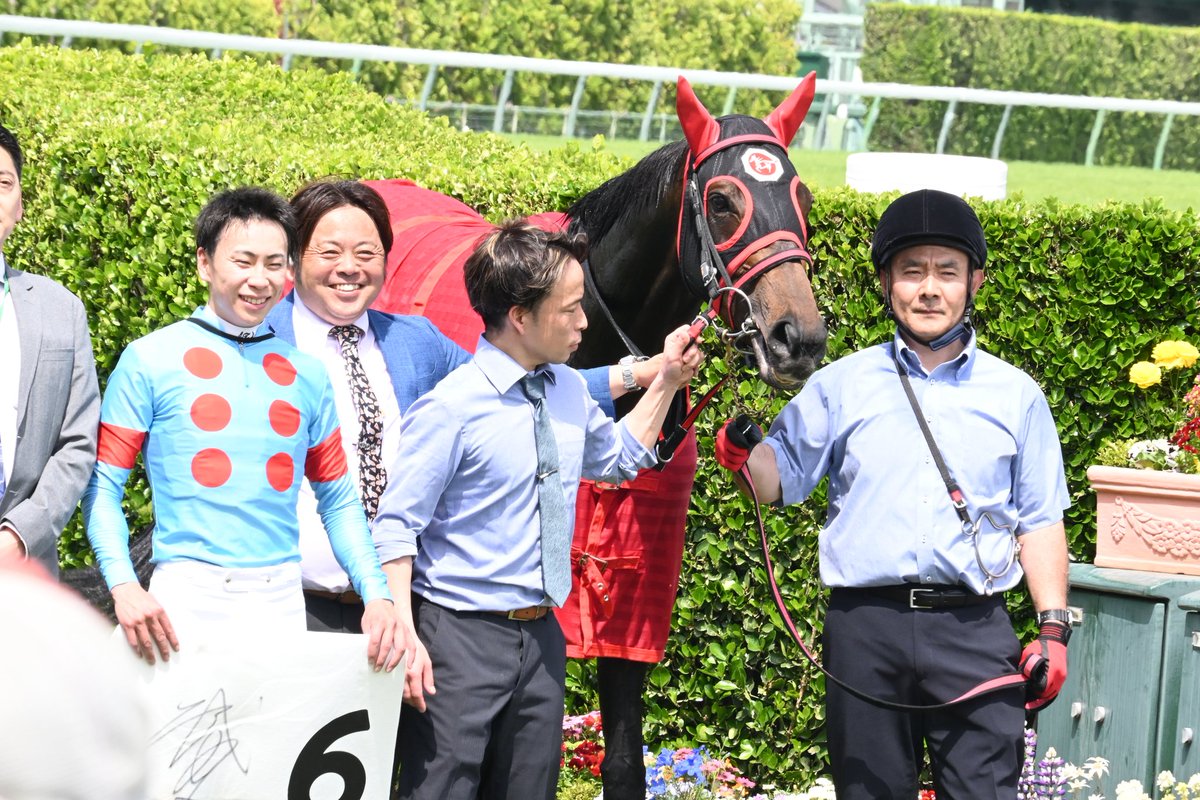 hippocampus30's tweet photo. 出資馬ノビリシマビジョンが勝った！
夢はオークスへの出走！
武史に期待します！
ありがと〜(((o(*ﾟ▽ﾟ*)o)))
 #ノビリシマビジョン https://t.co/yIbm6WIvQG