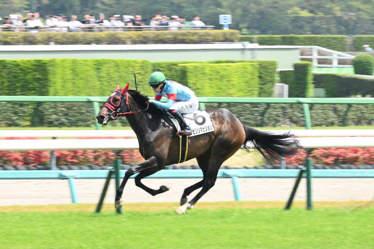 hippocampus30's tweet photo. 出資馬ノビリシマビジョンが勝った！
夢はオークスへの出走！
武史に期待します！
ありがと〜(((o(*ﾟ▽ﾟ*)o)))
 #ノビリシマビジョン https://t.co/yIbm6WIvQG