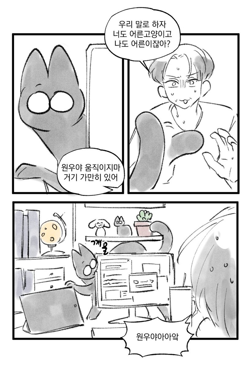 안경처돌이 tweet media