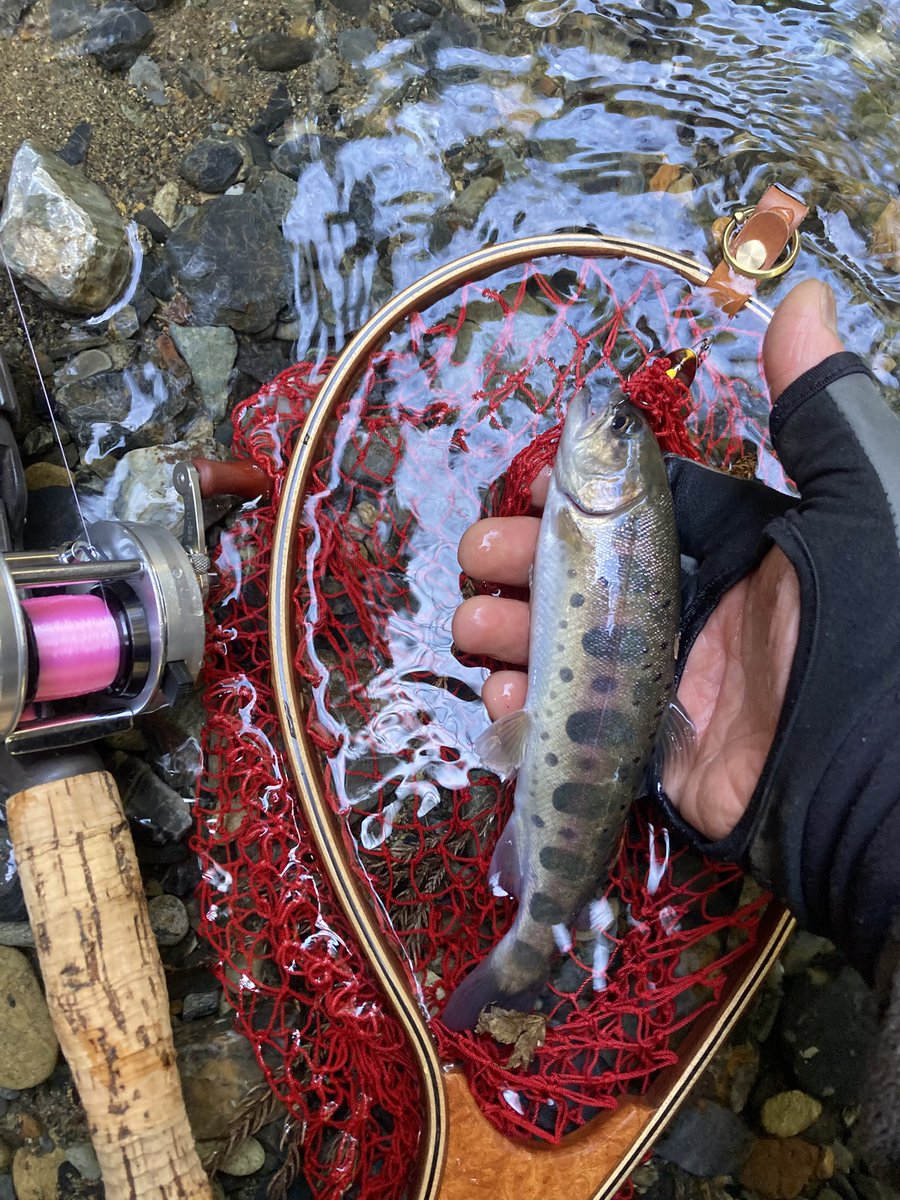 KA2_BikeLab's tweet image. 名前: KA2
性別: 漢
年齢: アラフィフ
身長: 175cm
住み: 秘境グンマー
車種: triumph スクランブラー、クロスカブ
一言: 旅が好き食べる事が好き呑む事が好き
そして、何よりバイクが大好き
一度に全て出来る幸せ…
それがキャンプツーリング！🏕
フィッシング始めたばかりのへっぽこアングラー