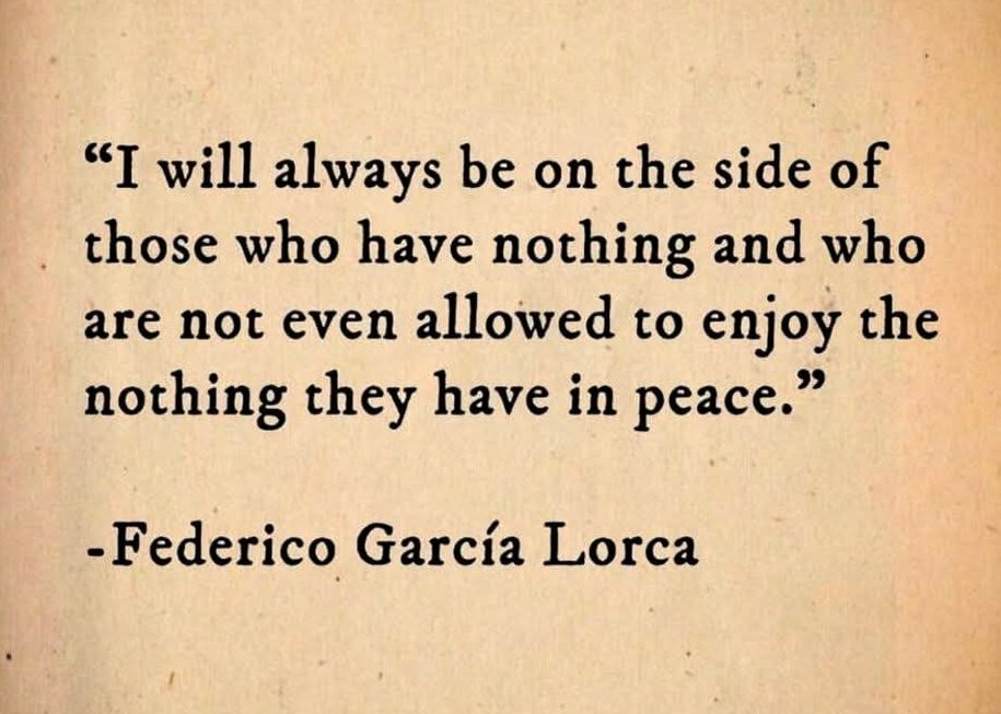 Into The Forest Dark tweet media