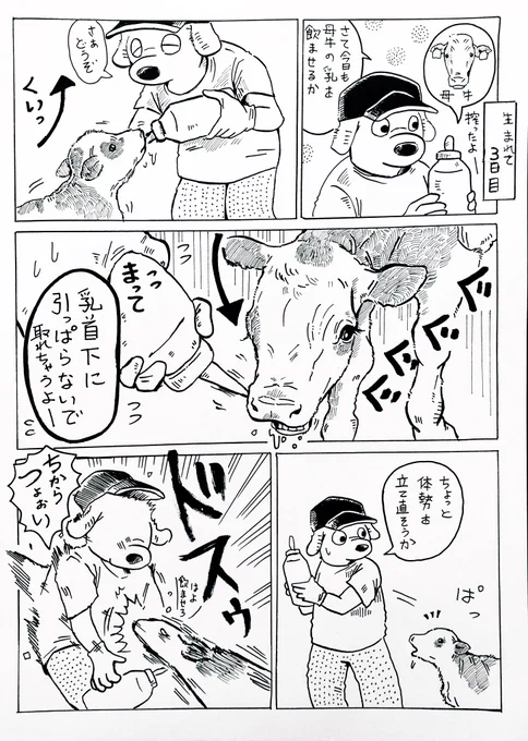 (再掲)

子牛の哺乳🐮🍼 