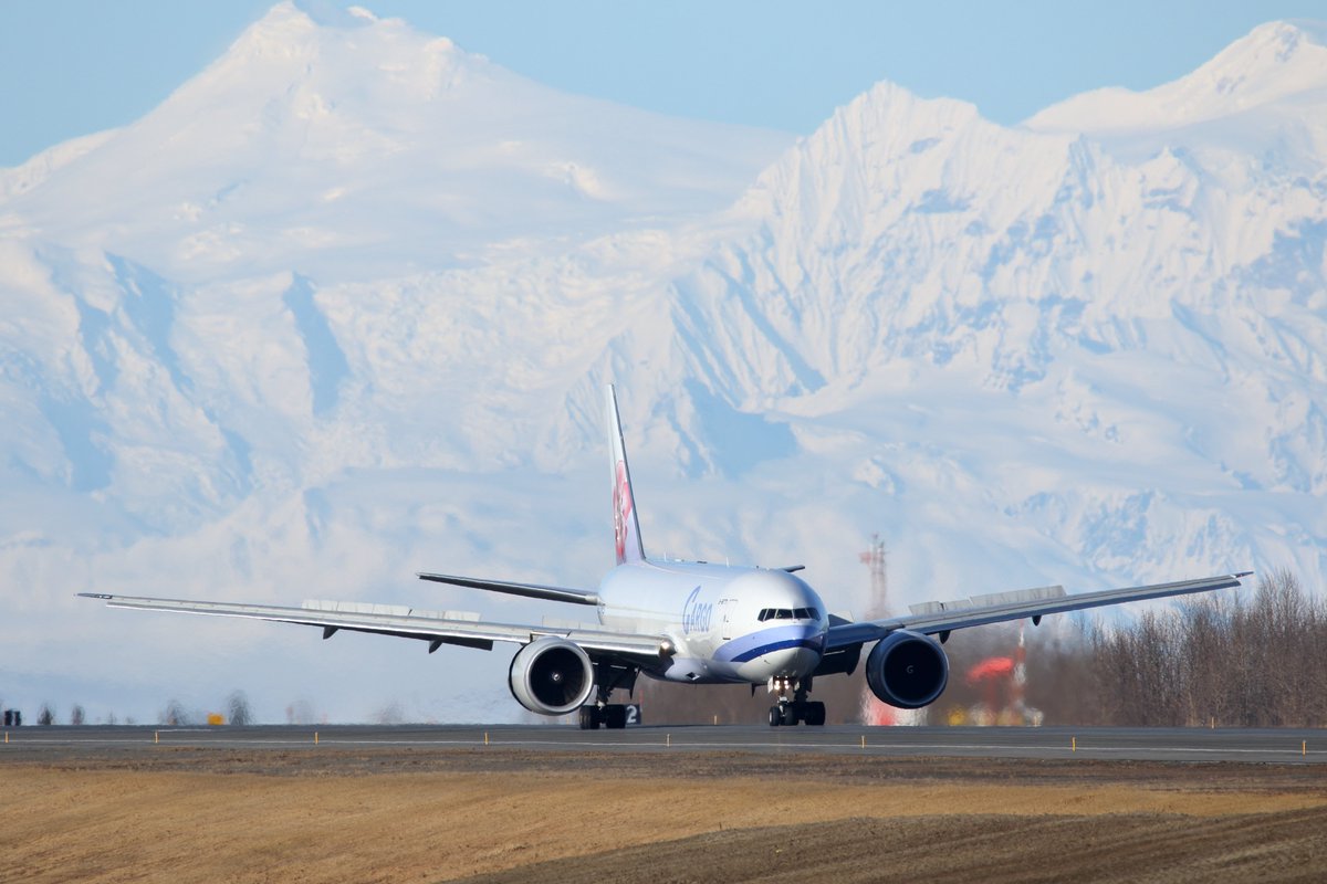 Dynasty in Anchorage