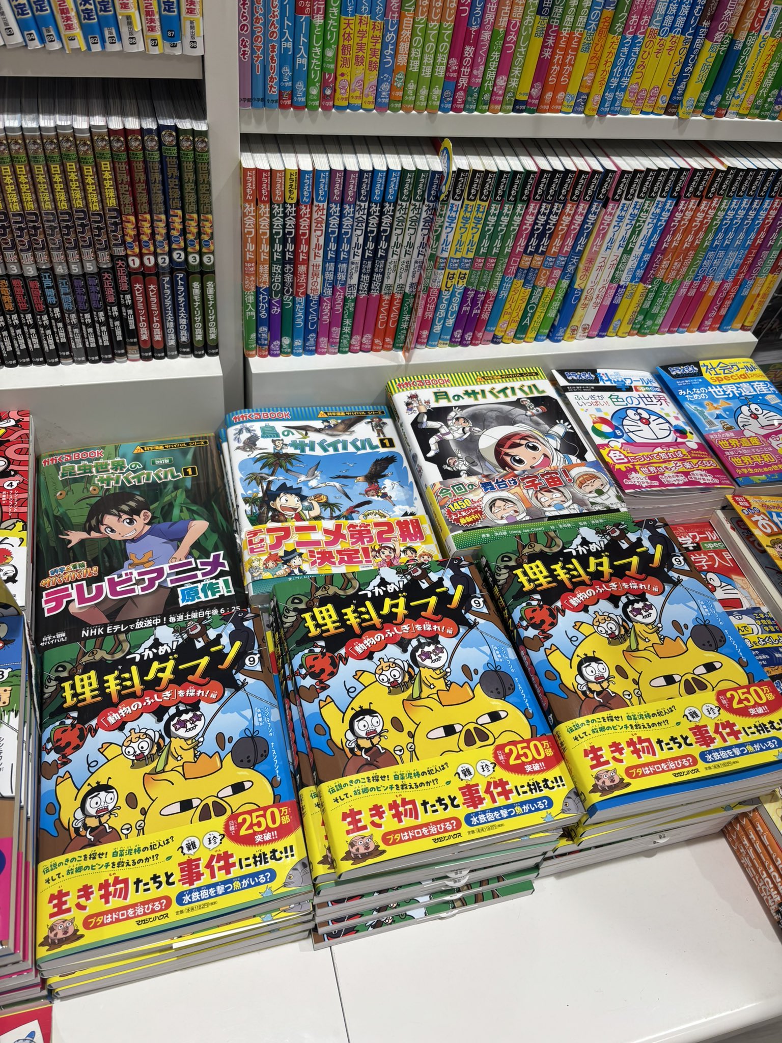 公式】つかめ！理科ダマン🚀9巻新発売 (@rikadaman) / X