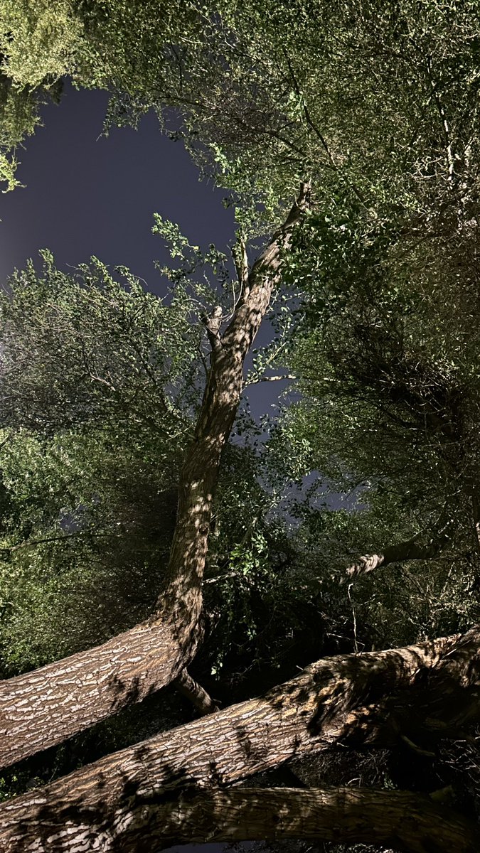 p2ix7's tweet photo. - لابُد أن يستسلم الإنسان مِن وقتٍ لآخر، أن يَستَريح، أن يُشاهِد الحياة وهيَ تَعبُر مِن أمامه وكأنها شيءٌ لا يَخصّه https://t.co/curPXBVIIm