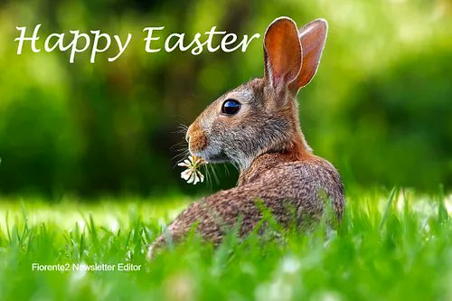 Fiorente2 (@fiorente2) on Twitter photo Happy Easter - Enjoy your time with family and friends! Happy Easter - Enjoy your time with family and friends!