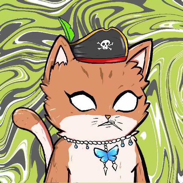 Look how this ​​pirate cats is cute 🏴‍☠️