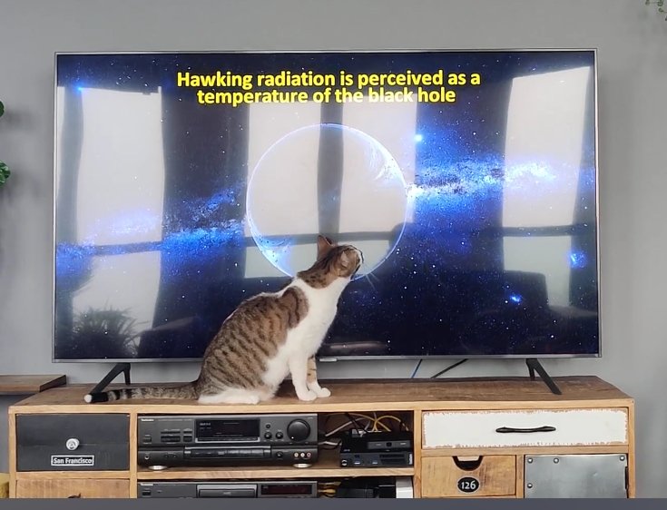 Alice_en_Bob's tweet photo. Just moments after this picture was taken Bob crossed the event horizon and was never seen again https://t.co/JD9cjw1zXB