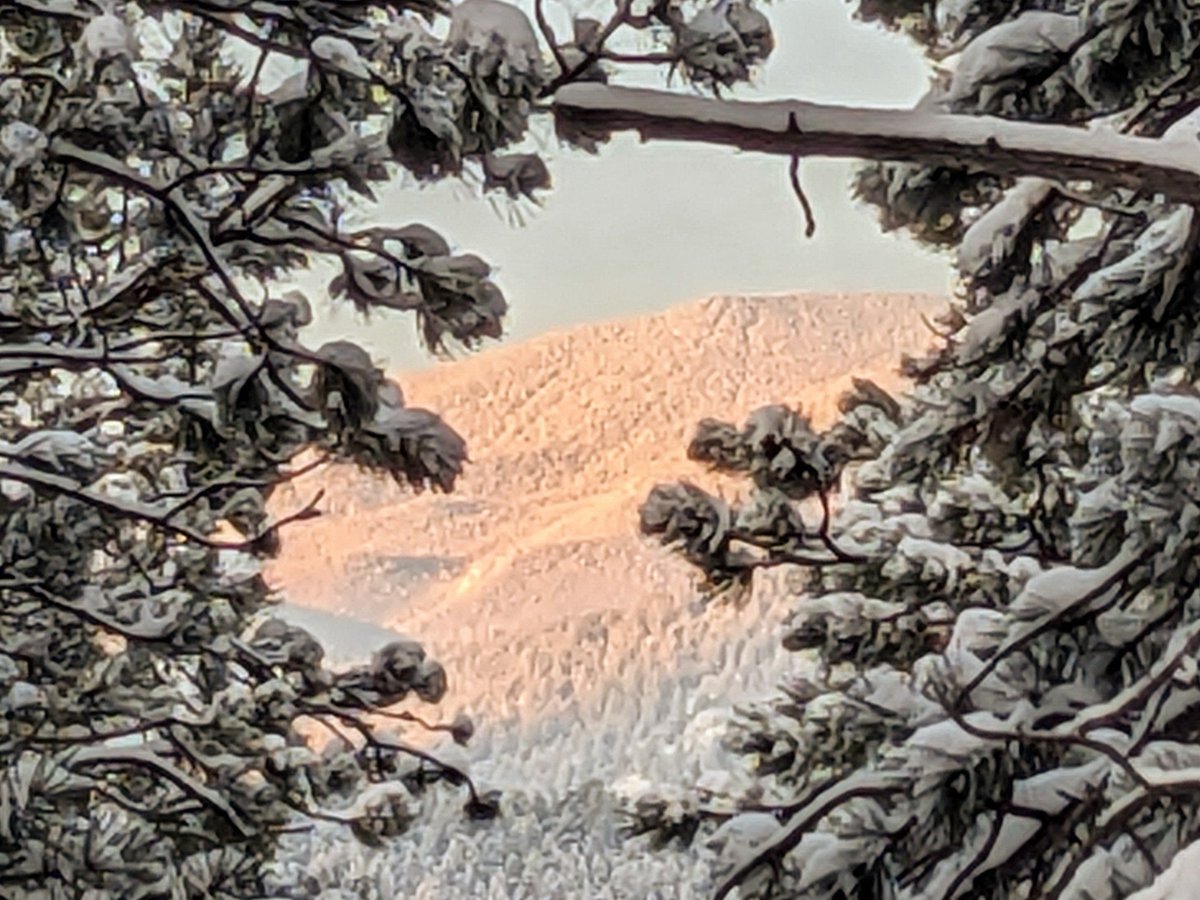 Kicking off Saturday with the temperature in the low 20s. The sunshine signals that the snow has ended in Evergreen. We'll take the 4.5" of snowfall. #cowx