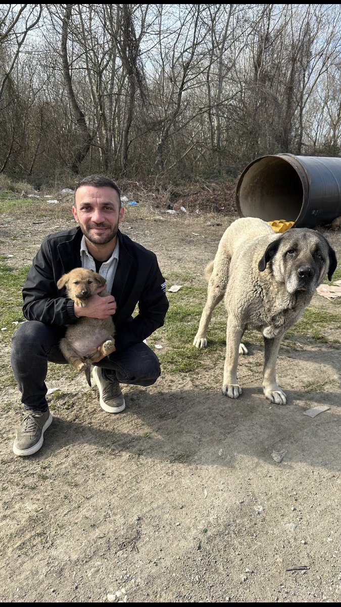 Emrahmixx's tweet photo. İstediğiniz Kadar Kalabalık Mitingler Yapın,
İster Traktör İster Uçak Kullanın.
Bu Seçimin Sonucunu Milyonlarca Hayvanseverin Oyu Belirler❗️
Oyumun Sahibi Yanımdaki Dostlarımın Yaşamasıdır❤️
#SokakHayvanlarıSahipsizDeğildir #Yozgat https://t.co/oAKPY4a7Mk