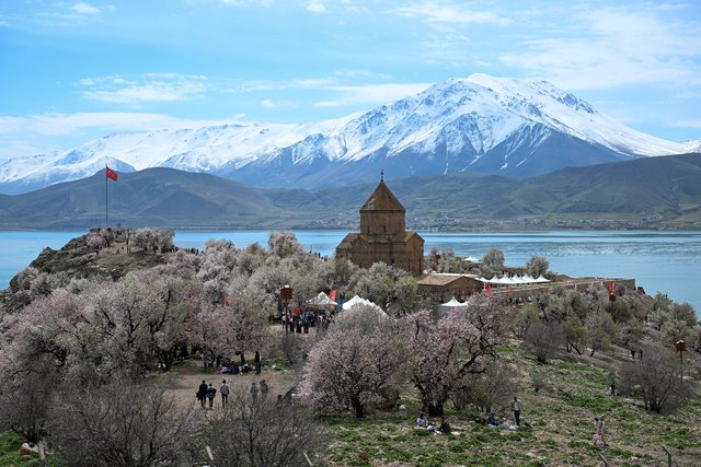 Van Gölü'nde bulunan ve badem ağaçlarının çiçeklerinin açmasıyla pembe ve beyaza bürünen Akdamar Adası'nda '3'üncü Badem Çiçeği Festivali' başladı hbr.tk/9vnmAY