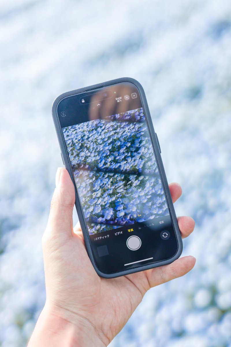スマホ×ネモフィラ